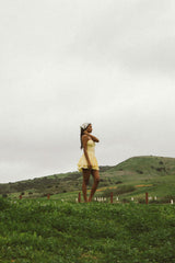 Dixie Bustier Mini Dress